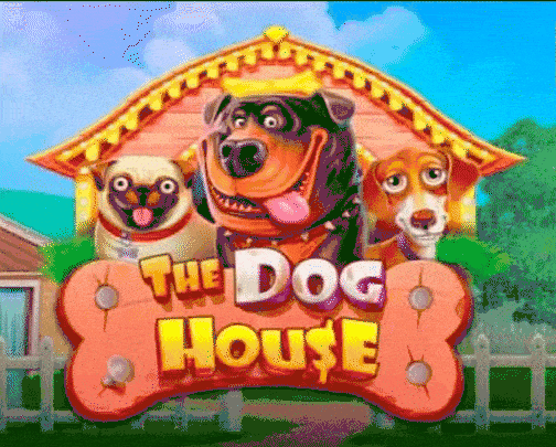 play The Dog House in wonaco casino